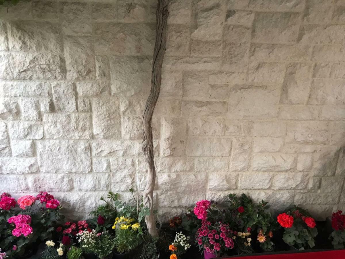 Apartman Crnica Šibenik Exteriér fotografie