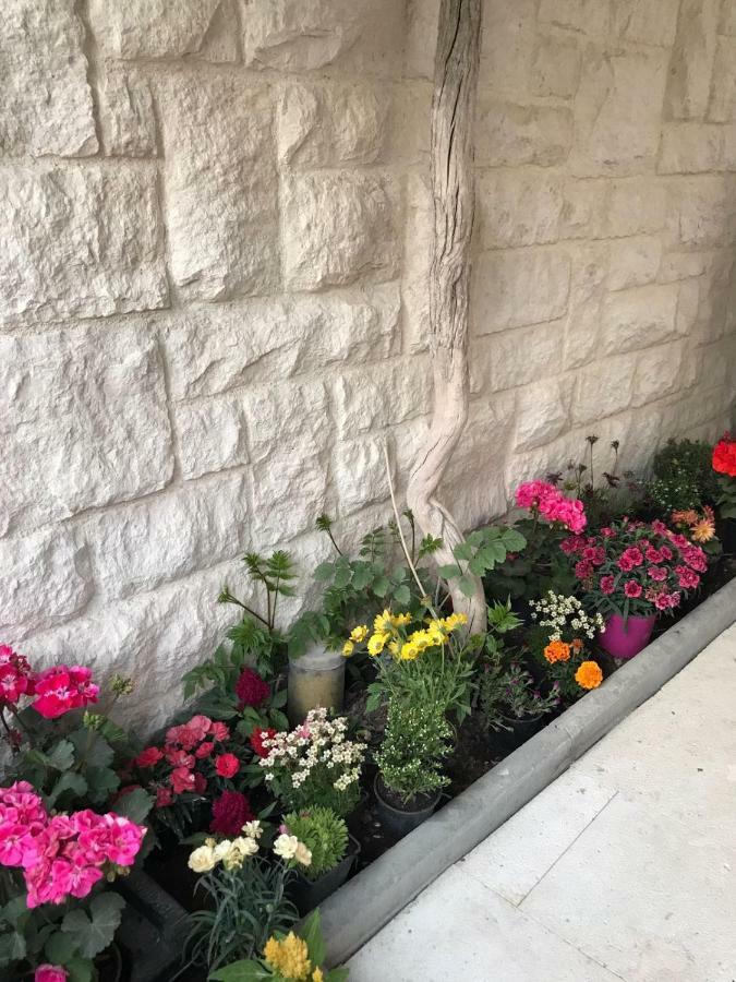 Apartman Crnica Šibenik Exteriér fotografie